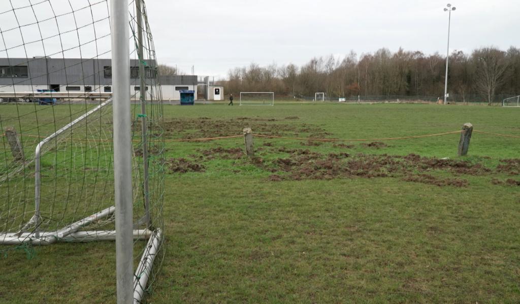 La RJS Thuin face aux dégâts causés par les sangliers