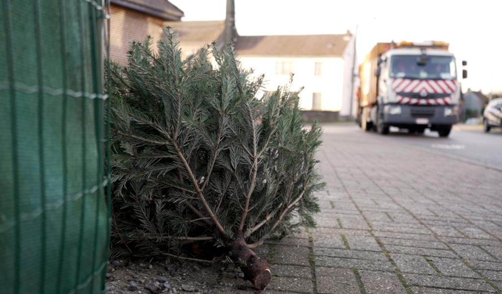 Les sapins de Noël reprennent la route