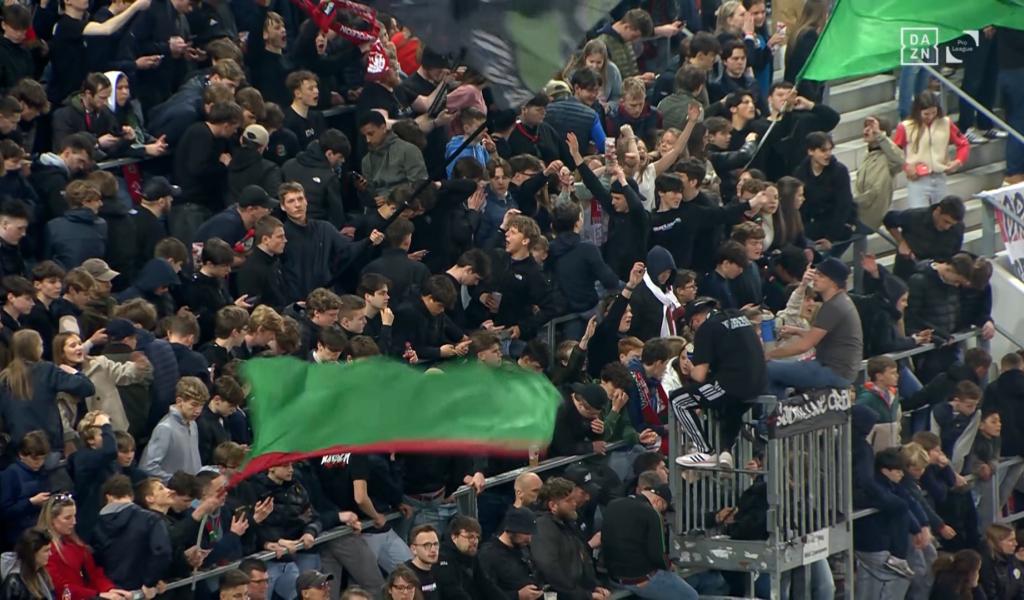 Les Zèbres dans la tourmente