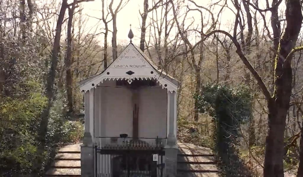 C à Découvrir : Le Bois du Grand Bon Dieu à Thuin