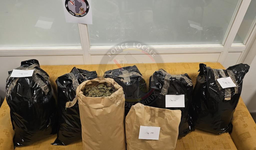 La zone de police des Trieux découvre plus de 20 kilos de cannabis!