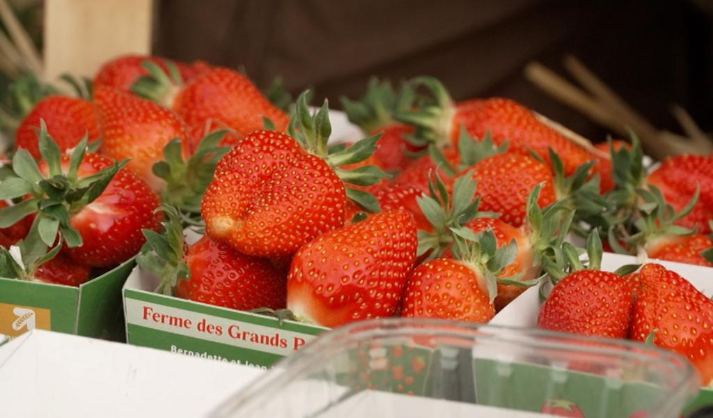 La saison des fraises et des asperges est lancée à Liberchies