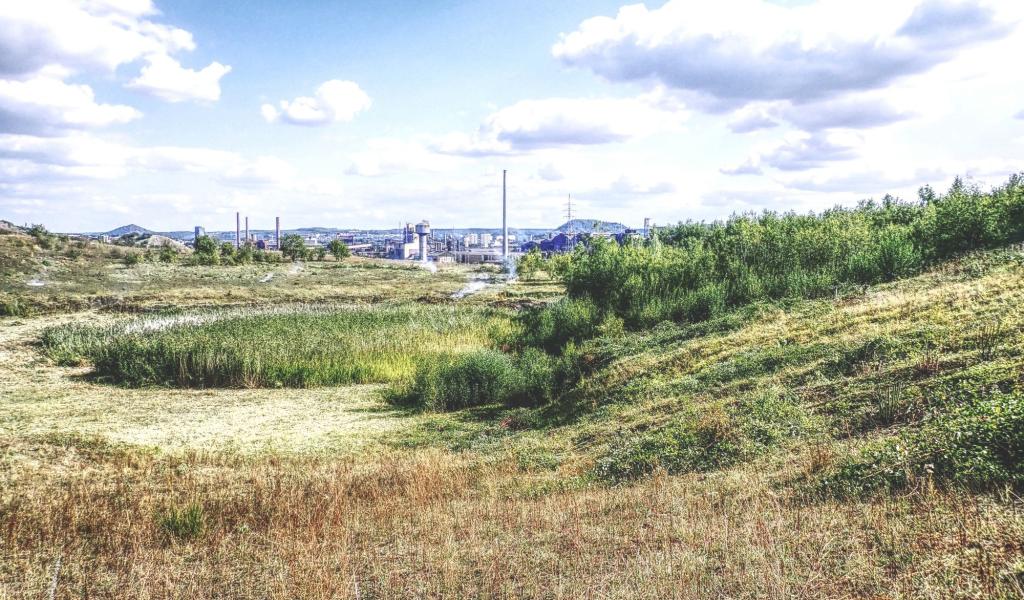 Un terril carolo bientôt accessible aux personnes malvoyantes grâce à un projet européen