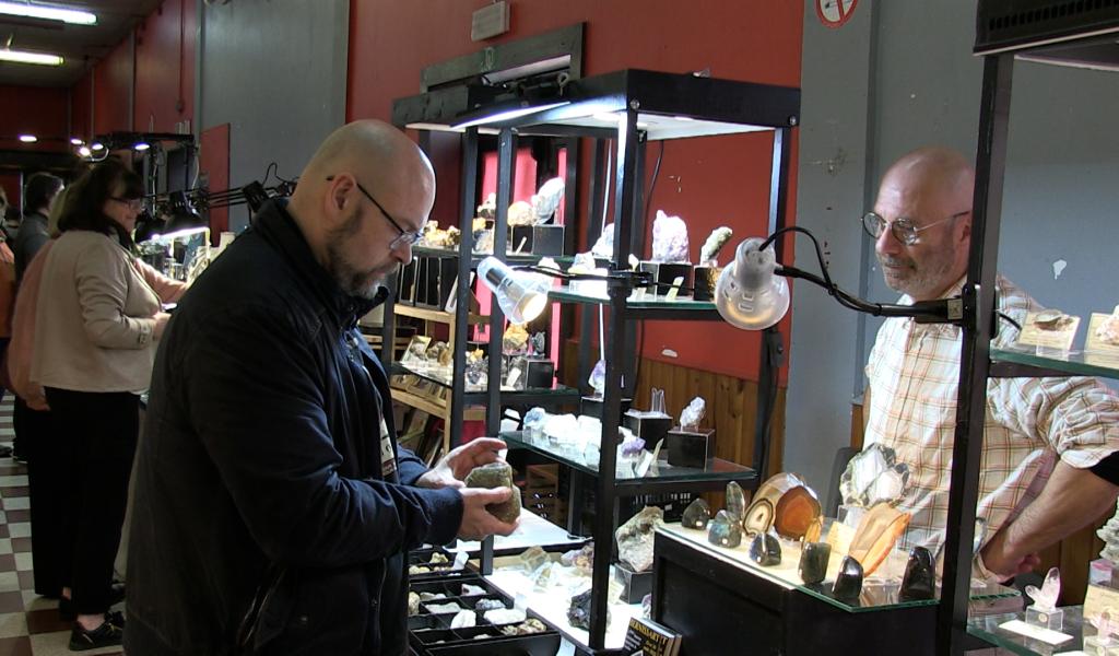 C Local : 4ème bourse aux minéraux et fossiles à Strée