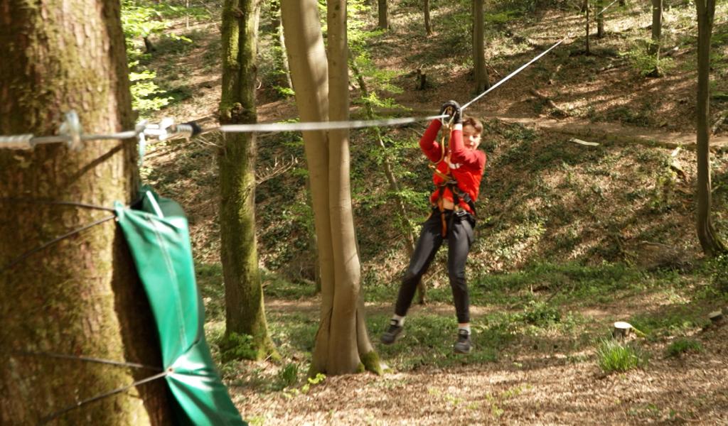 Arboreo relance sa saison avec de nouveaux parcours