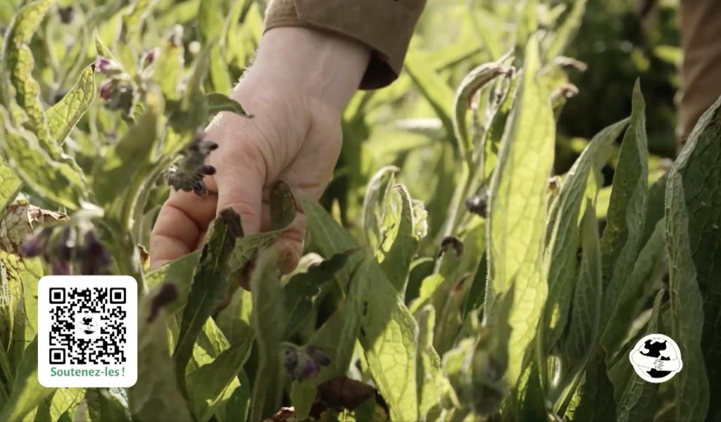 Le bon moment by Be Planet : Le jardin de la paix à Gosselies