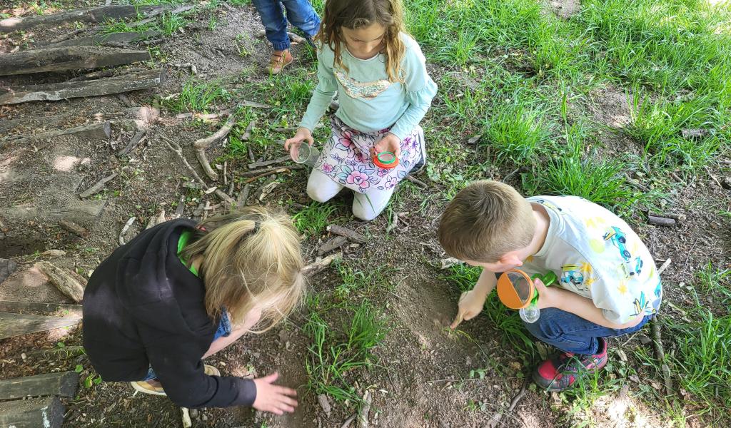 Anderlues : Havre de Nature, des animations scolaires et extrascolaires qui relient les enfants à la nature