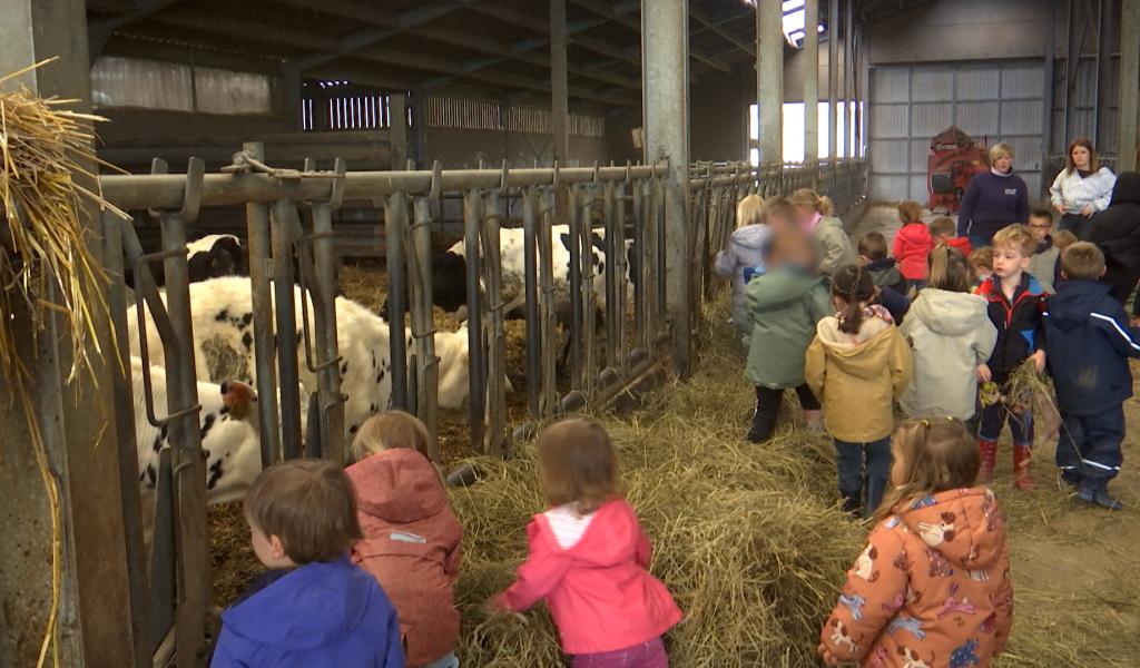 À Gerpinnes, les enfants vivent le quotidien d’une ferme familiale