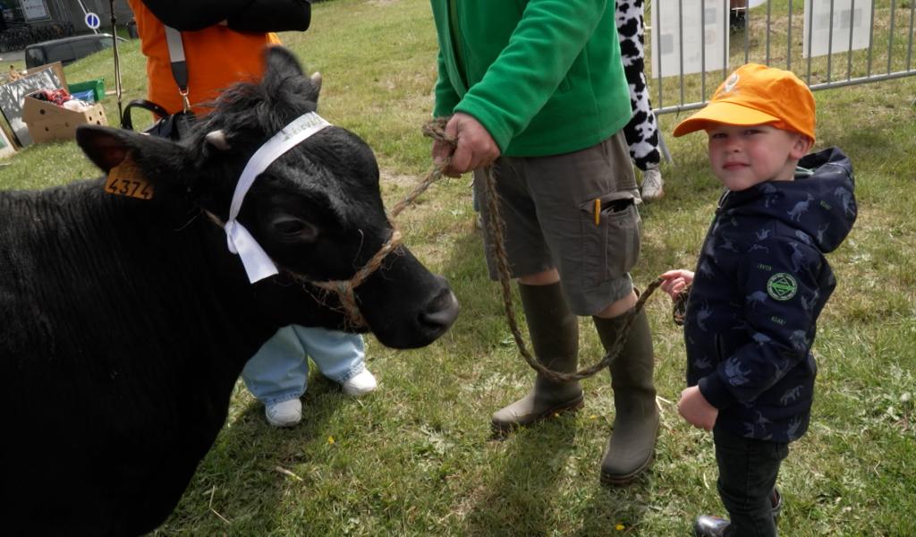 Froidchapelle : le monde agricole se dévoile au grand public