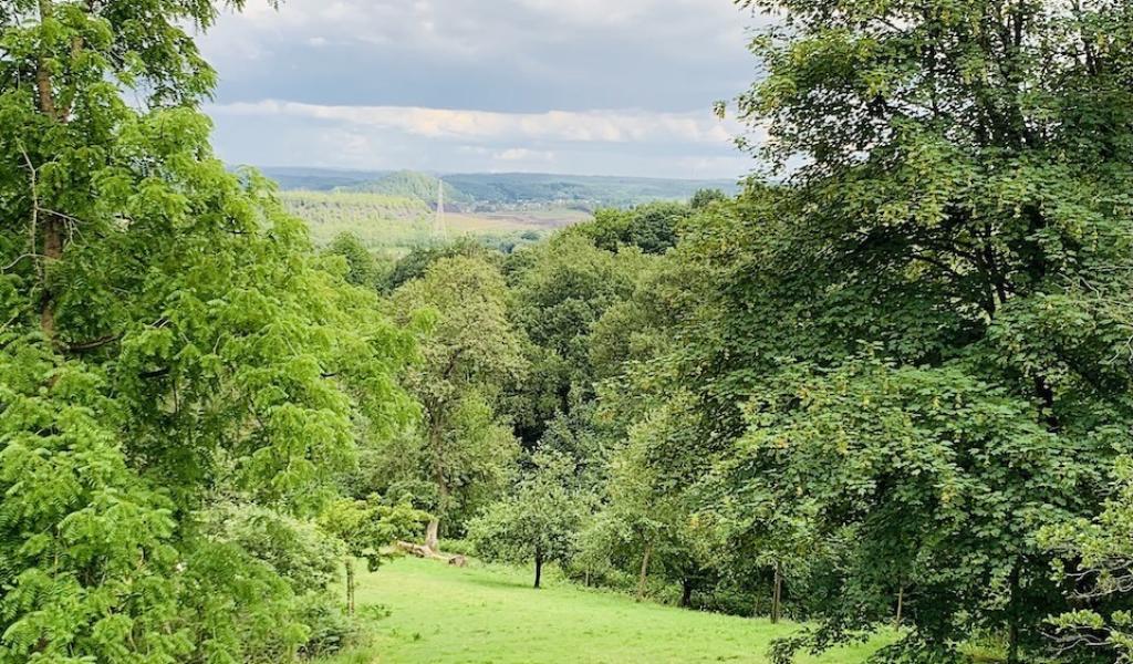 Farciennes : la gestion des bois communaux saluée par la Wallonie