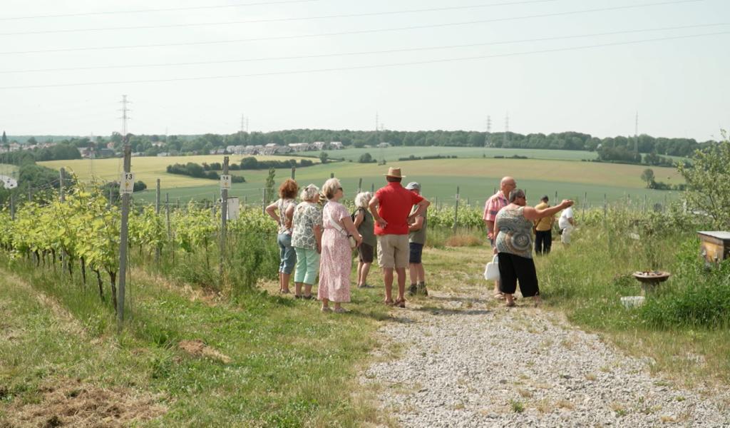 Le Domaine du Blanc Caillou a organisé sa 6ème journée portes-ouvertes