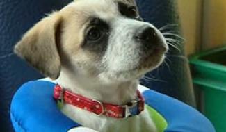 29/06/10 : DES VACANCES SANS SOUCIS