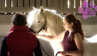 Pense-Bête: le coaching équin