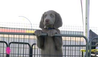 Pense-Bêtes du 22 septembre 2023