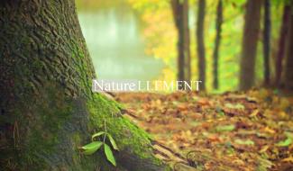 Naturellement : A la découverte de Mettet