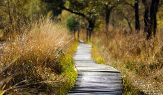 Création de 47 nouvelles réserves naturelles en Wallonie