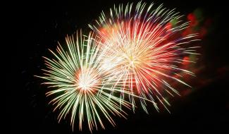 Feux d'artifice: la ministre Tellier sensibilise les communes et interpelle le fédéral