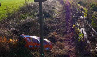 La Wallonie fournit des plants pour des projets de plantation d'envergure. Faites votre demande !