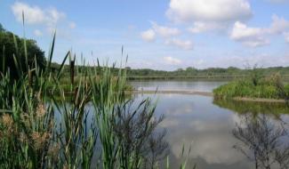 Virelles : Une nuit à la belle étoile à l'aquascope
