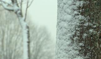 Prolongation de l'alerte jaune aux conditions glissantes sur tout le pays