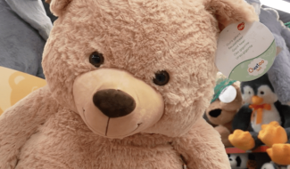 Europe : La sécurité des jouets qui entrent en Europe renforcée