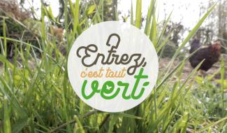 Entrez, c'est tout vert : Novembre, le mois des plantations