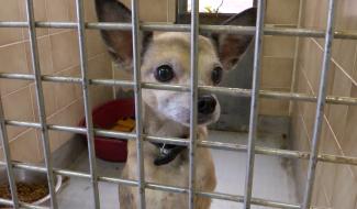 SPA : les fins de mois de plus en plus difficiles à boucler