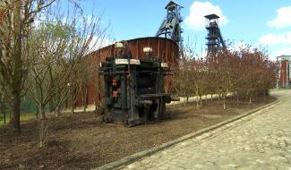 Nouveau record de fréquentation pour Le Bois du Cazier en 2023 !