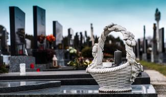 L'inhumation avec son animal : la Wallonie réglemente