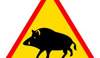 Farciennes: Une battue sera organisée ce mardi 27/02 à partir des bois Monard et de Pironchamps