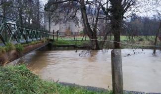 Intempéries : Plusieurs cours d'eau wallons en préalerte de crue