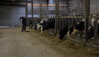 19 nouvelles mesures de simplification administratives pour les agriculteurs