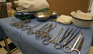 Le Musée Vésale vous accueille pour ses portes ouvertes !