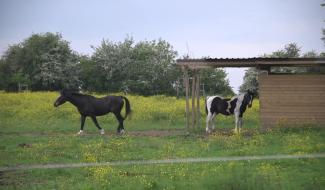 C dans la Poche - 09/05/2024