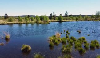 L'ABéCédaire des Fagnes : G comme Gardiens !