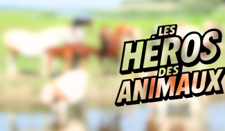 Les héros des animaux :  Clinique vétérinaire partie 1