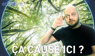 Epistème : Les plantes peuvent-elles communiquer entre elles ?