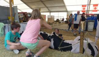 Une soixantaine de fermes wallonnes ouvrent leurs portes au public ce week-end