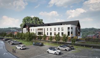 Thuin : Abattage des marronniers, le promoteur réagit