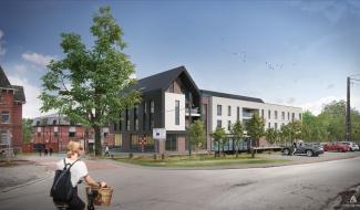 Les marronniers à Thuin : « Des solutions étaient envisageables » selon le promoteur