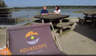 Open Air du mercredi 20 août 2025 - A l'aquascope de Virelles