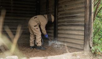 Les nids de guêpes sont de plus en plus nombreux. Quels moyens pour les neutraliser ?