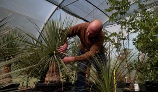 Pont-à-Celles : une pépinière se spécialise dans les espèces végétales rares