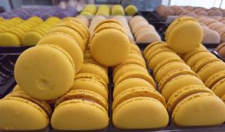 « Macaro’n Co » élue boulangerie-pâtisserie préférée du Hainaut