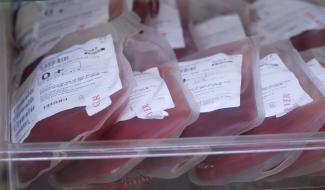 Don de sang : un besoin permanent mais les conditions pour donner sont très strictes