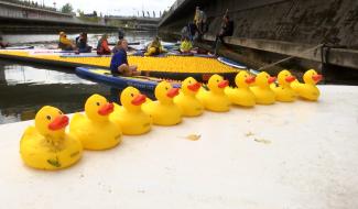 Charleroi : beau succès pour la première course caritative "Mon Canard Carolo"