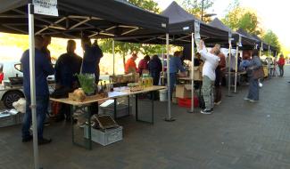 "Nourrir Charleroi" : Un festival pour repenser l’alimentation locale