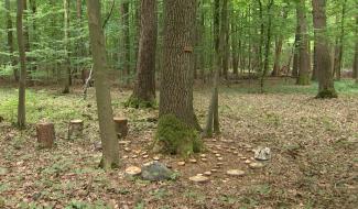Les six hôpitaux du Grand Charleroi et de Chimay accueilleront un Espace du Souvenir