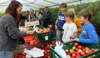 La Foire aux pommes à l'Aquascope Virelles, les 18 et 19 octobre