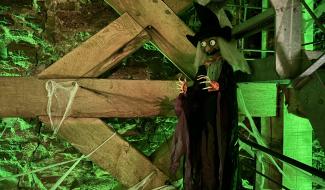 Halloween à Thuin : découvrez le programme